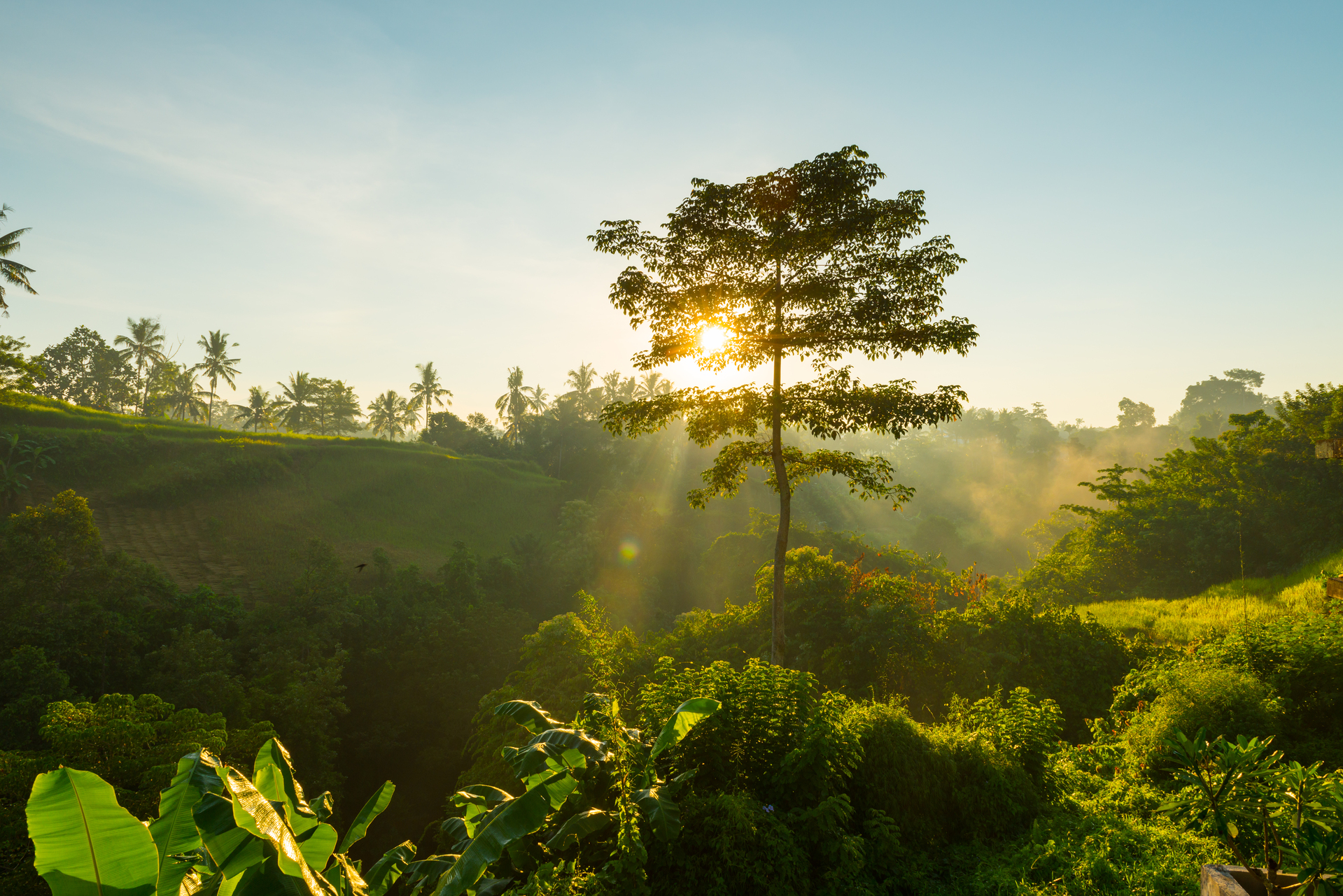 Setores de Atuação - Meio Ambiente e Gestão Social | NCA - Engenharia e Consultoria